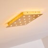 Pionnat Plafondlamp LED Goud, 16-lichts