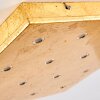 Pionnat Plafondlamp LED Goud, 16-lichts