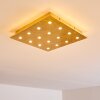 Pionnat Plafondlamp LED Goud, 16-lichts