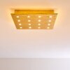 Pionnat Plafondlamp LED Goud, 16-lichts
