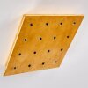 Pionnat Plafondlamp LED Goud, 16-lichts