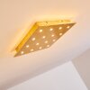 Pionnat Plafondlamp LED Goud, 16-lichts