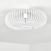 Oravi Plafondlamp Wit, 1-licht