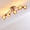 Arconciel Plafondlamp Bruin, 5-lichts