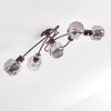 Arconciel Plafondlamp Bruin, 5-lichts