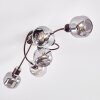 Arconciel Plafondlamp Bruin, 5-lichts