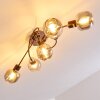 Arconciel Plafondlamp Bruin, 5-lichts