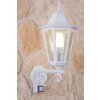 Lutec BRISTOL Buiten muurverlichting Transparant, Helder, Wit, 1-licht, Bewegingsmelder