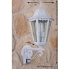 Lutec BRISTOL Buiten muurverlichting Transparant, Helder, Wit, 1-licht, Bewegingsmelder