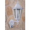 Lutec BRISTOL Buiten muurverlichting Transparant, Helder, Wit, 1-licht, Bewegingsmelder