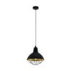 Eglo CANNINGTON Hanger Goud, Zwart, 1-licht