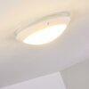 Grafton Buitenshuis plafond verlichting Wit, 1-licht