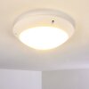 Grafton Buitenshuis plafond verlichting Wit, 1-licht