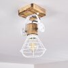 Nifun Plafondlamp Bruin, Wit, 1-licht