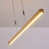 Deshka Hanglamp LED Zilver, 1-licht