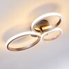 Volonne Plafondlamp LED roestvrij staal, Zilver, 3-lichts