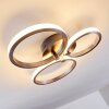 Volonne Plafondlamp LED roestvrij staal, Zilver, 3-lichts
