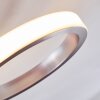 Volonne Plafondlamp LED roestvrij staal, Zilver, 3-lichts