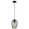 Eglo NEWTOWN Hanglamp Zwart, 1-licht