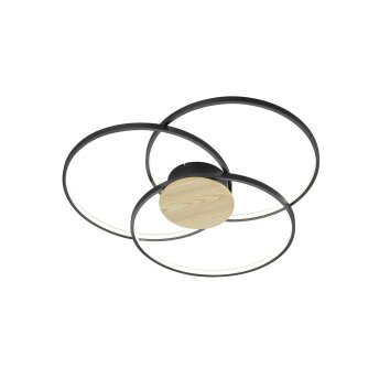Trio Sedona Plafondlamp LED Zwart, 1-licht