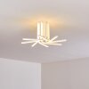 Bangor Plafondlamp LED Wit, 1-licht