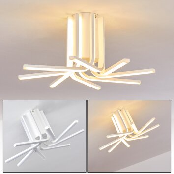 Bangor Plafondlamp LED Wit, 1-licht