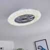 Petrovac plafondventilator LED Chroom, Wit, 1-licht, Afstandsbediening