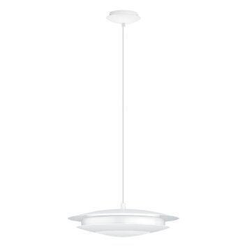 EGLO connect MONEVA-C Hanger LED Wit, 1-licht, Kleurwisselaar