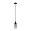 Eglo WRINGTON Hanger Zwart, 1-licht