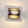 Blanchard Buiten muurverlichting LED Nikkel mat, Zwart, 1-licht