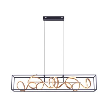 Paul Neuhaus SELINA Hanglamp LED Zwart, 4-lichts