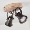 Skodsbol Plafondlamp Antraciet, Hout licht, 2-lichts