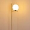 Hogatza Staande lamp Messing, 1-licht