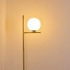 Hogatza Staande lamp Messing, 1-licht