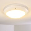 Grafton Buitenshuis plafond verlichting Wit, 2-lichts