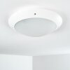 Grafton Buitenshuis plafond verlichting Wit, 2-lichts