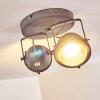 Glostrup Plafondlamp LED Grijs, 2-lichts