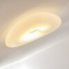 Jelsa Plafondlamp Wit, 1-licht