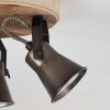Skodsbol Plafondlamp Hout licht, Zwart, 3-lichts