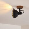 Onsala Plafond spot Bruin, Zwart, 1-licht