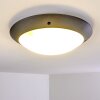 Grafton Buitenshuis plafond verlichting Antraciet, 2-lichts