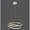Paul Neuhaus ROMAN Hanglamp LED Goud, 1-licht