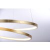 Paul Neuhaus ROMAN Hanglamp LED Goud, 1-licht