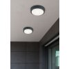 Trio BREG Buitenshuis plafond verlichting LED Antraciet, 1-licht