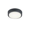 Trio BREG Buitenshuis plafond verlichting LED Antraciet, 1-licht