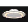 Globo UFO Plafondlamp LED Glas, 1-licht