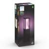 Philips Hue Ambiance White & Color Impress Sokkellamp extensie set LED Zwart, 1-licht, Kleurwisselaar