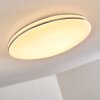 Genthin Plafondlamp LED Wit, 1-licht