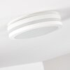 Wollongong Buitenshuis plafond verlichting LED Wit, 1-licht