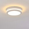 Wollongong Buitenshuis plafond verlichting LED Wit, 1-licht
